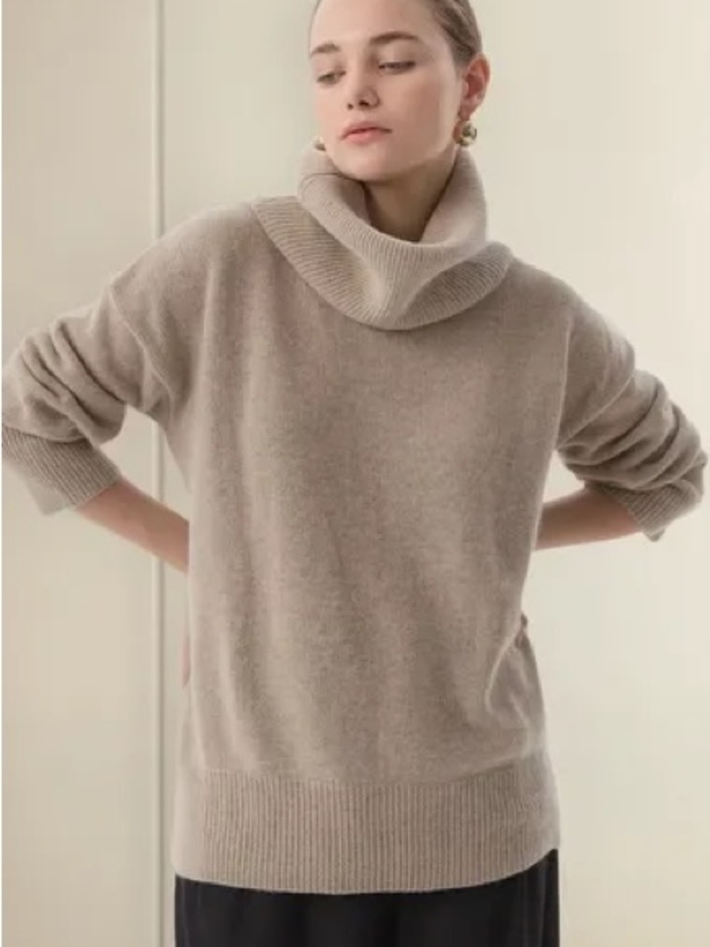 100% Extrafine Merino Wool - Beige Turtleneck Sweater